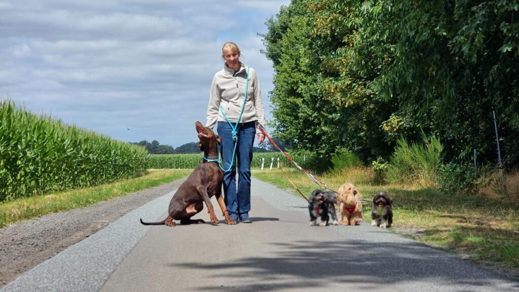 Andrea unterwegs mit ihrem Hunderudel aus Dobermann Cowboy und vier Bolonkas