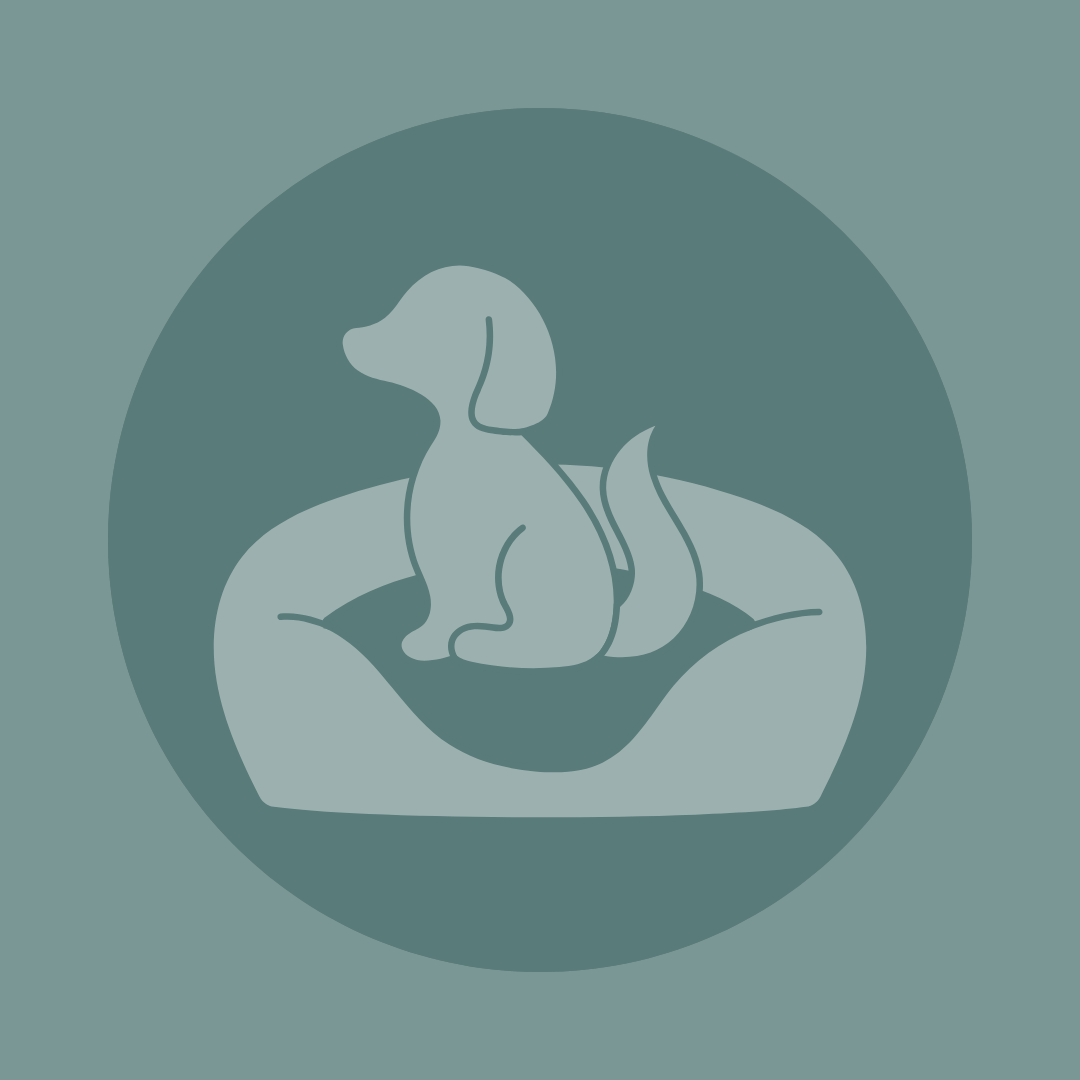 Hunde-Kissen, -Decken und -Betten