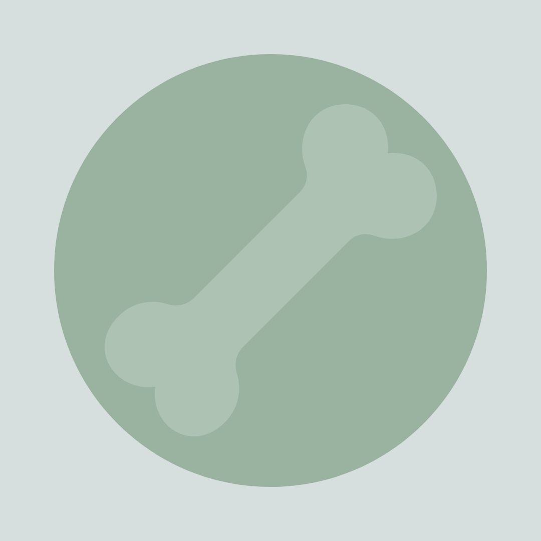 Ein Icon mit einem Knochen