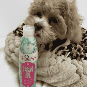 Shop_Shampoo-Derm-Oil Shampoo auf Ölbasis für empfindliche und trockene Haut. Auch für häufiges Waschen geeignet.
