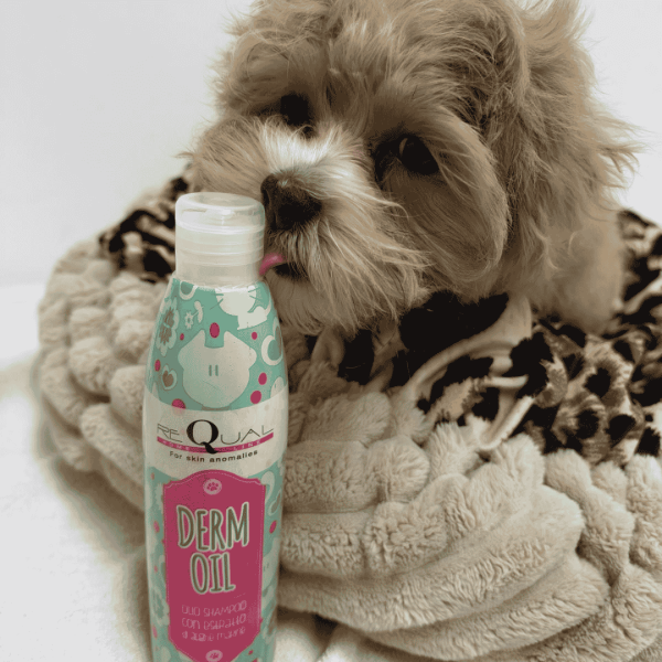 Shampoo auf Ölbasis für empfindliche und trockene Haut. Auch für häufiges Waschen geeignet.